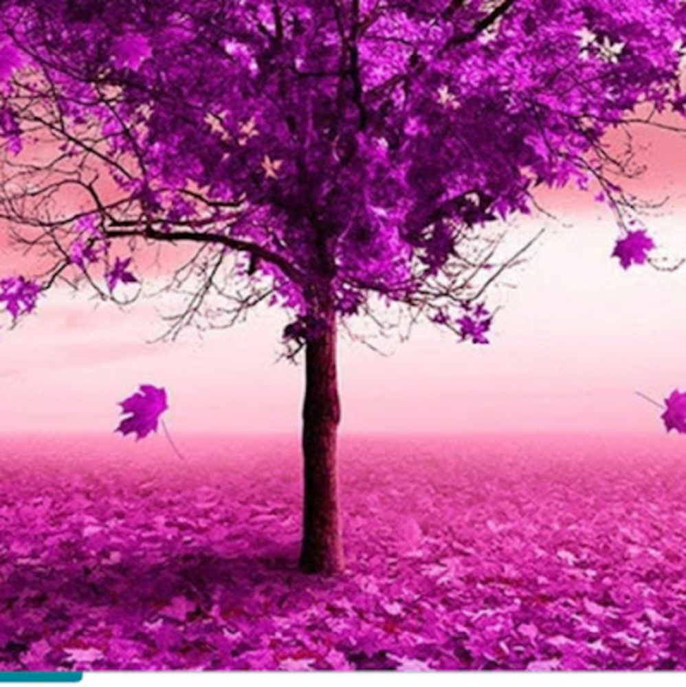 Meet your Posher, Vanie